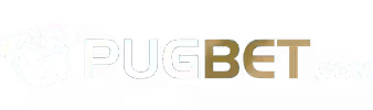 Como usar o bônus do 1win - M5sbet
