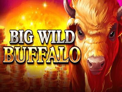 All Reels Casino